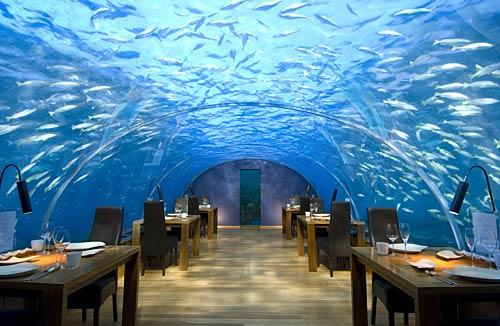 4.ĺײ( Ithaa Undersea Restaurant )