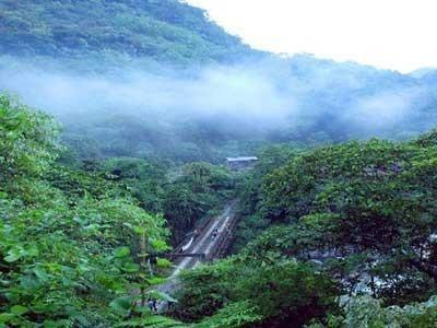 圣地寻求心灵伴侣