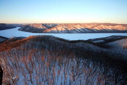 ����������