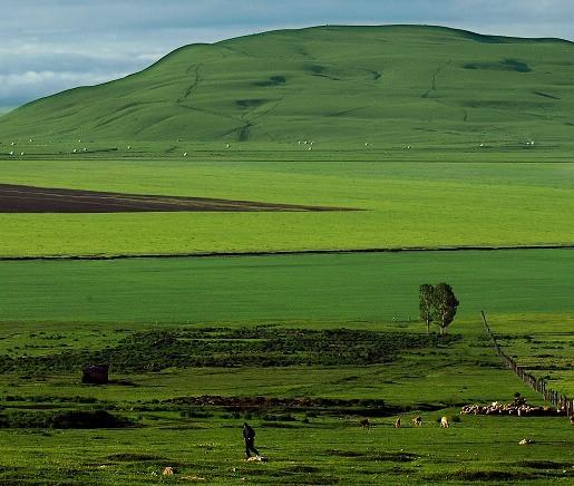 组图:感受新疆昭苏令人向往的天堂美景