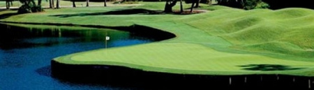 ����-2010������������ս֮�������ݲݵ��͹���