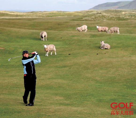 Machrihanish DunesȻĶ