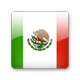 墨西哥队-2010南非世界杯