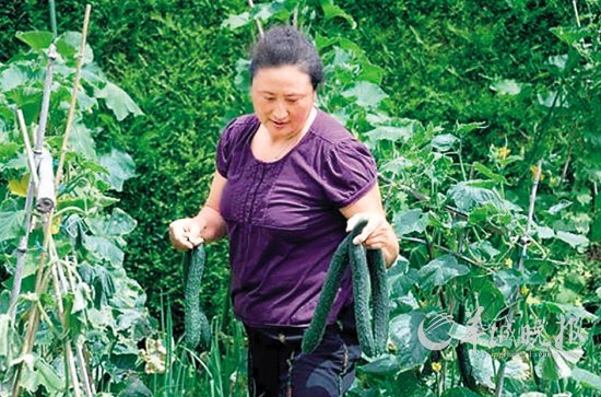 ��������ֲ�߲�