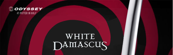 WHITE DAMASCUS 5 Ƹ