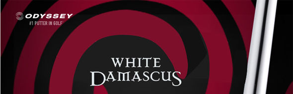 WHITE DAMASCUS 9Ƹ