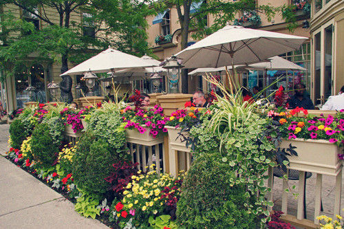 至尊旅程 莱德杯观战之旅(一)莱德杯+加拿大旅