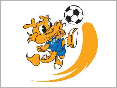 中超官网VI系统