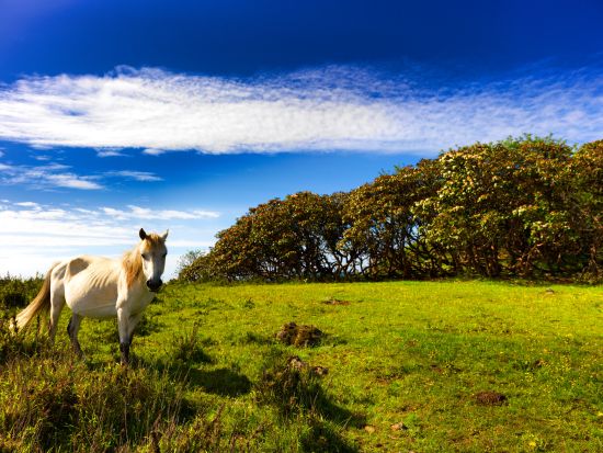 国山地户外挑战赛黑竹沟开跑 叶钊颖携跑团助