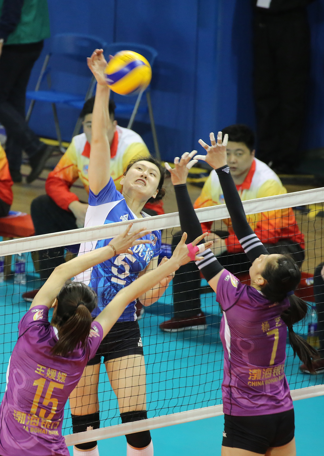 完美收官！中国女排3-0轻取阿根廷 收获11连胜不败金身卫冕_PP视频体育频道