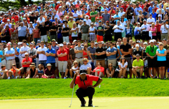 PGA锦标赛之旅(一)老虎温情的一面。 PGA锦标赛之旅(一)老虎温情的一面。