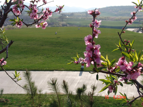 �ڶ�������ɽ��Ա���������ڵ����򳡾���