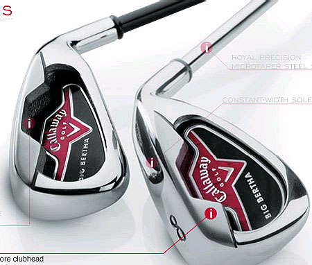 Callaway Big Bertha Ƴ2006¿