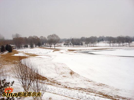 ͼ��-�������ϸ߶�����ѩ��ѩ�׵Ķ�����