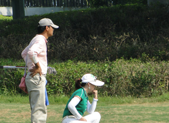 ���ƹ����ϵ�����