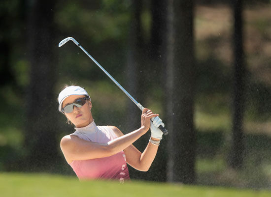 ����ѡ��������