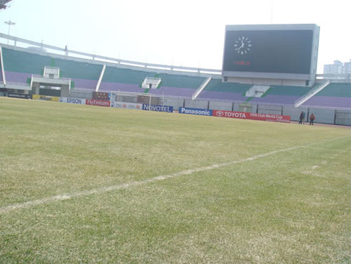 图文-长春亚泰备战亚冠联赛 亚泰主场草皮开始