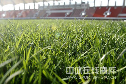 图文-航海体育场静待亚冠联赛 绿油油的小草_国内足坛-甲A_NIKE新浪竞技风暴_新浪网