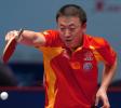 图文-世界乒球总冠军赛男单半决赛马琳晋级决赛