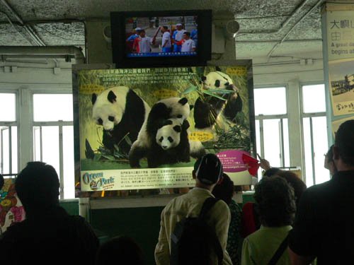 图文-北京奥运圣火香港传递 看电视直播等待渡