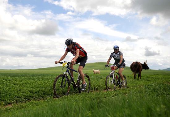 图文-铁木真国际山地自行车挑战赛 牛羊同场竞