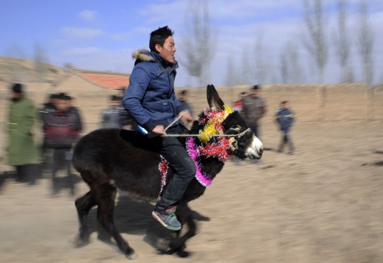 图文-全民健身之农民赛驴比赛 坚持就是胜利