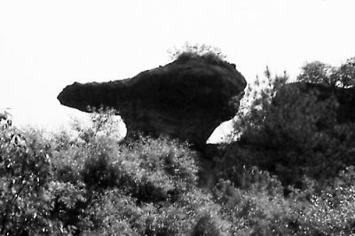 发生驴友坠崖事故的鸭嘴岩。