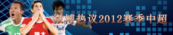 ΢������2012�����г�����