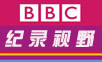BBC��¼��Ұ