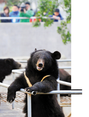 熊场开放 媒体与归真堂及专家展开激烈交锋