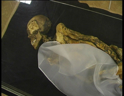 珍妃的尸骨图片