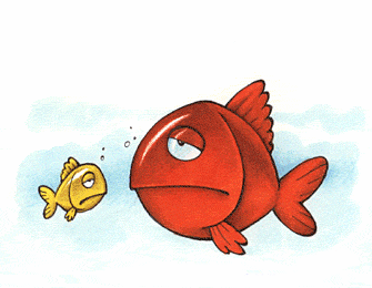 335_260gif 动态图 动图