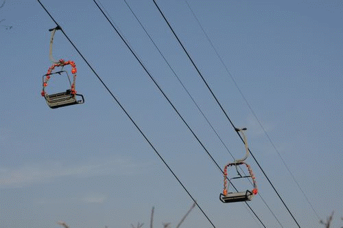 500_332gif 动态图 动图