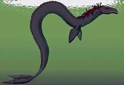 渔民拍摄到阿拉斯加水怪 或为卡布罗龙_科学探索_科技时代_新浪网