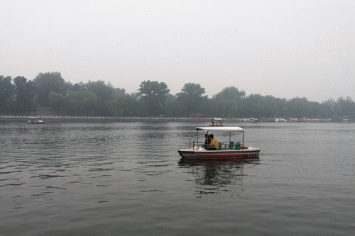 500_333gif 动态图 动图