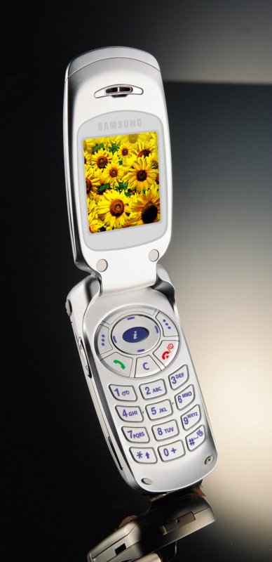 三星sgh-s308图片_手机_科技时代_新浪网