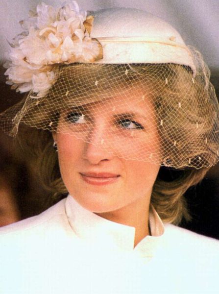 "人民王妃"戴安娜_中国电站设备网_天涯博客