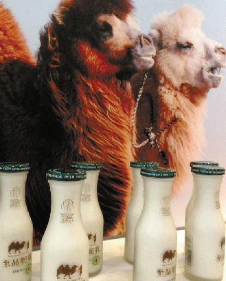 天价骆驼奶一瓶48元 标榜能治糖尿病和肾病(图)