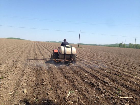 其中8垧种植玉米,3垧种植大豆,农户介绍其同样是自家机器耕地播种