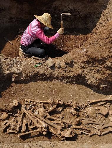 自2008年10月以来,云南省考古研究所考古队对澄江县金莲山古墓葬群