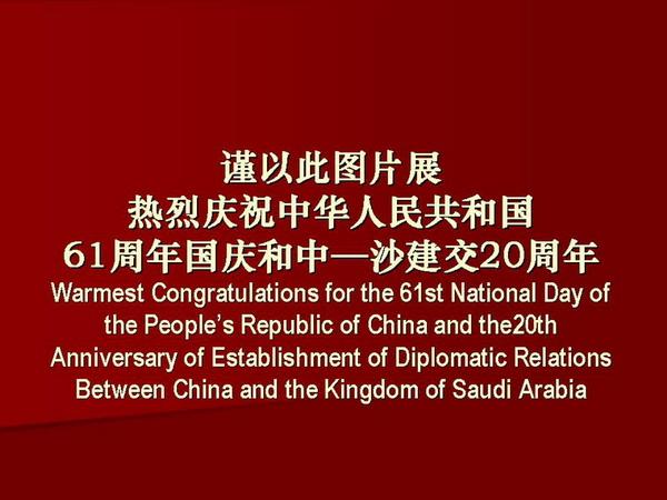 沿着互利共赢的道路开拓前进中资企业业务成就图片展庆祝中沙建交20