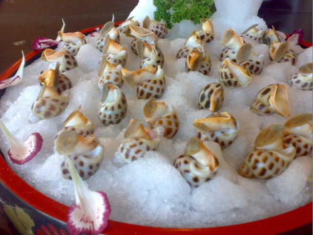 联系人:钱丽珍电话:13987065521 0876—4610046"金杯银杯不如顾客的