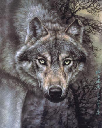 左进伟工笔画另类诠释狼的世界