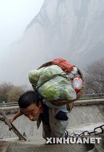 华山独臂挑夫用血汗养家网民赞其真英雄