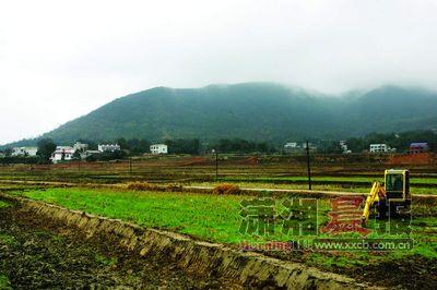 蓮花鎮的最美鄉村夢