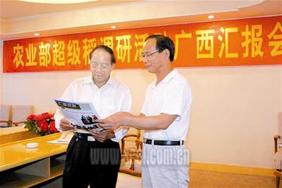 新闻人物 谢华安,著名杂交水稻育种专家,因为培育出高产抗瘟质优,种植