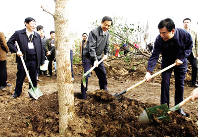 张家港长山村书记己抓图片