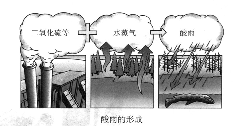 厦泉酸雨出现频率为100