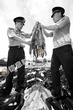 通讯员 刘从新 摄信息时报讯 (记者 徐毅儿 通讯员 高岩) 记者昨日从