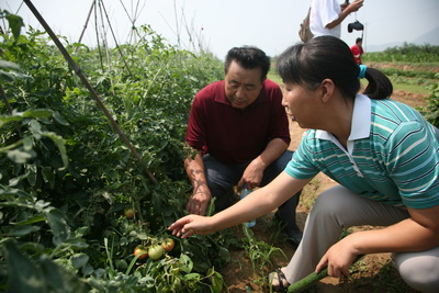 李青云教授(前)现场给菜农讲课